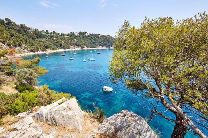 Cote D'Azur Appart Spacieux / Lumineux Tulon Zewnętrze zdjęcie